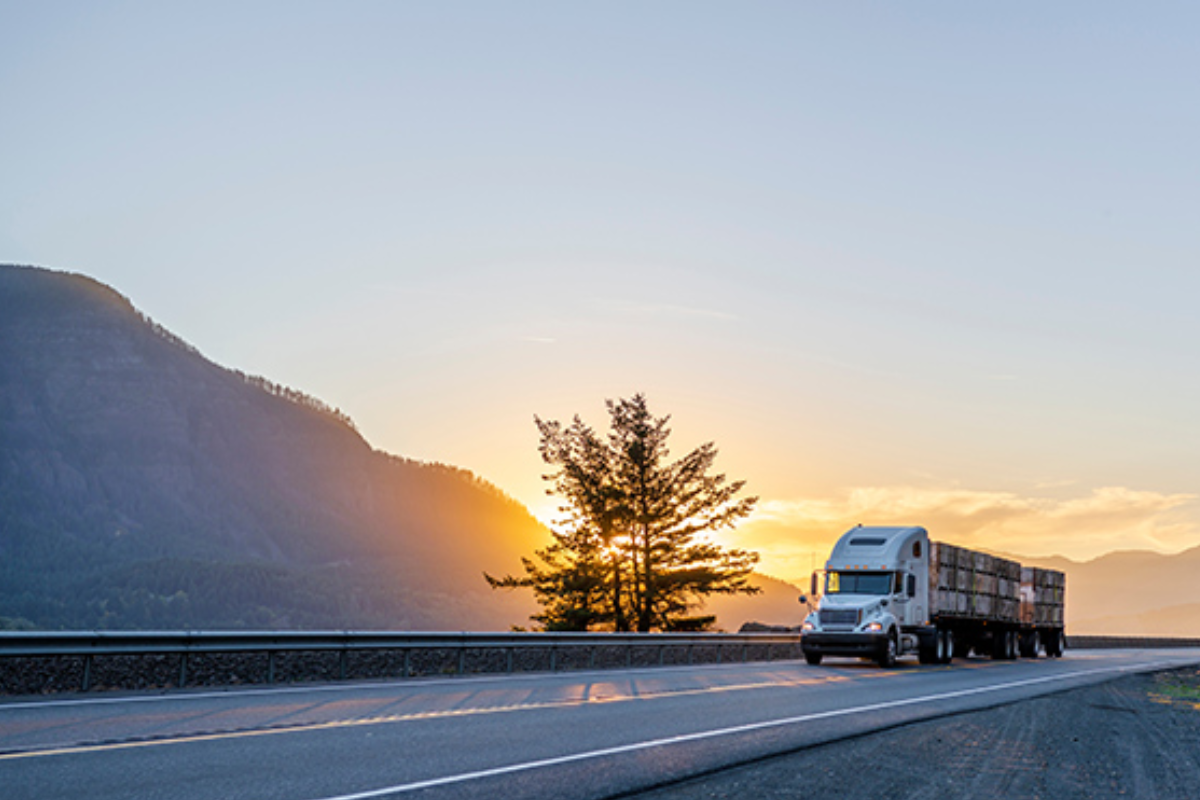 Long-Distance Moving by Wajid Movers